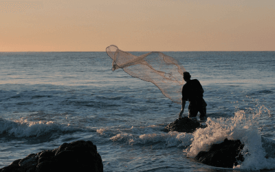What’s Your Net?